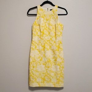Ann Taylor Women's Dresses